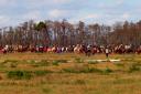 Two Hundred Years of Tradition: The Great Florida Cattle Drive of Ought 6